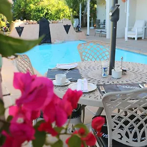 https://paradiso-guesthouse-and-self-catering-cottage.hotels-capetown.com